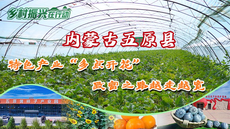 内蒙古五原县：特色产业“多点开花”...
