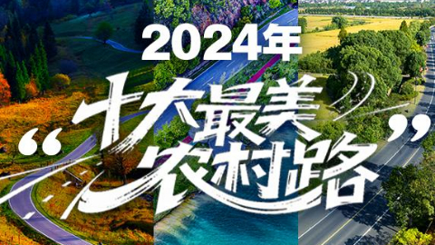 2024年“十...