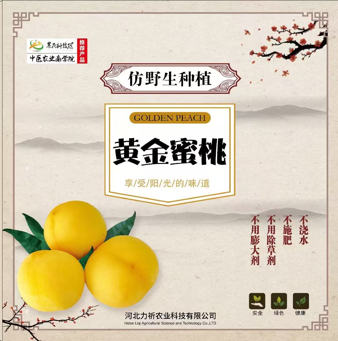 仿野生种植黄金...