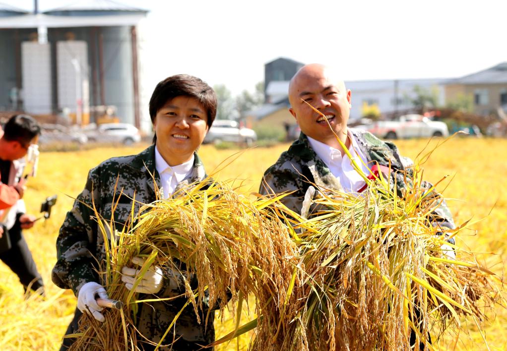 “新农人”扎根...