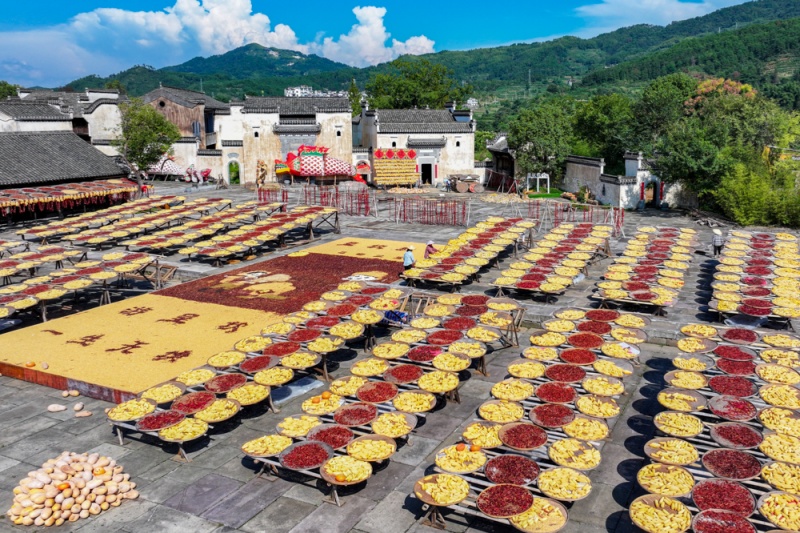 “来自乡村的礼物”9月回眸：丰收里...