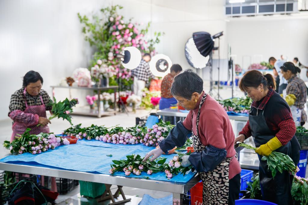 浙江浦江：青年...