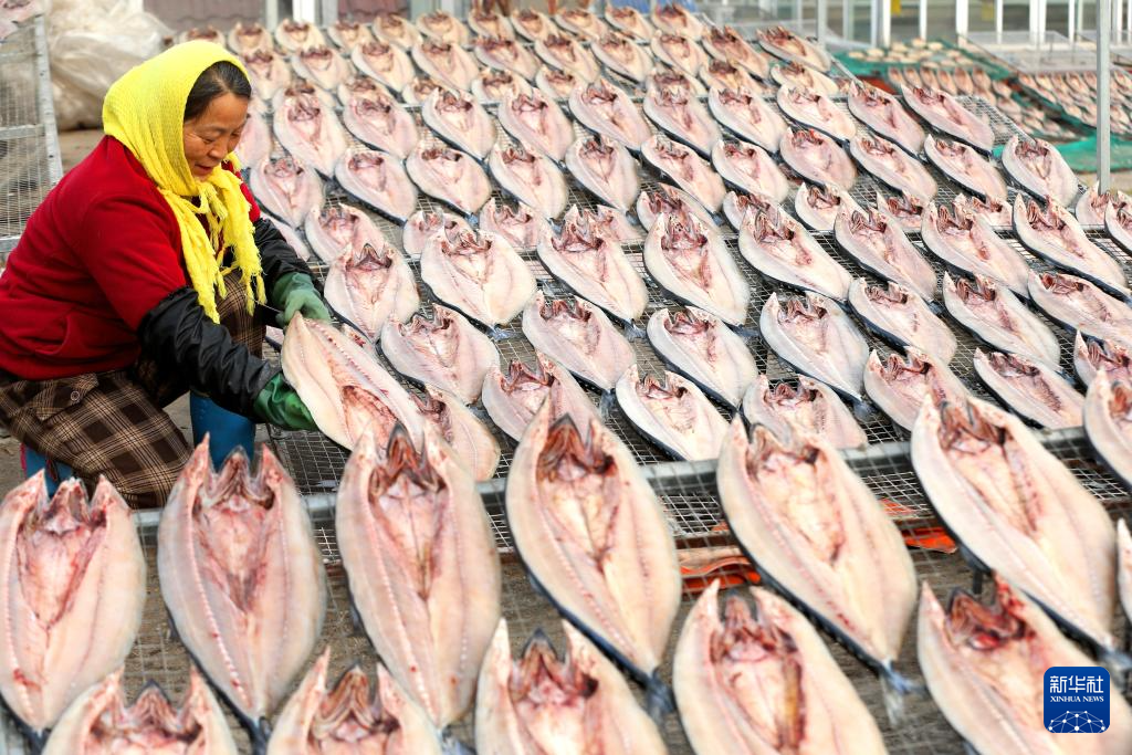 山东即墨：春节...