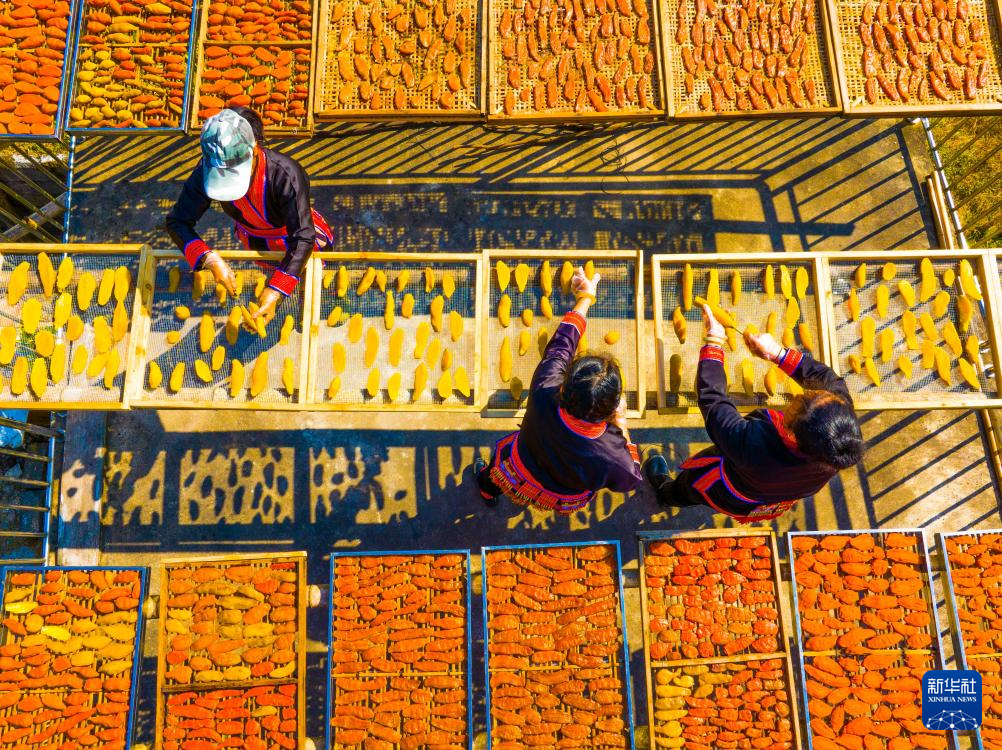 “三九”人间烟火气