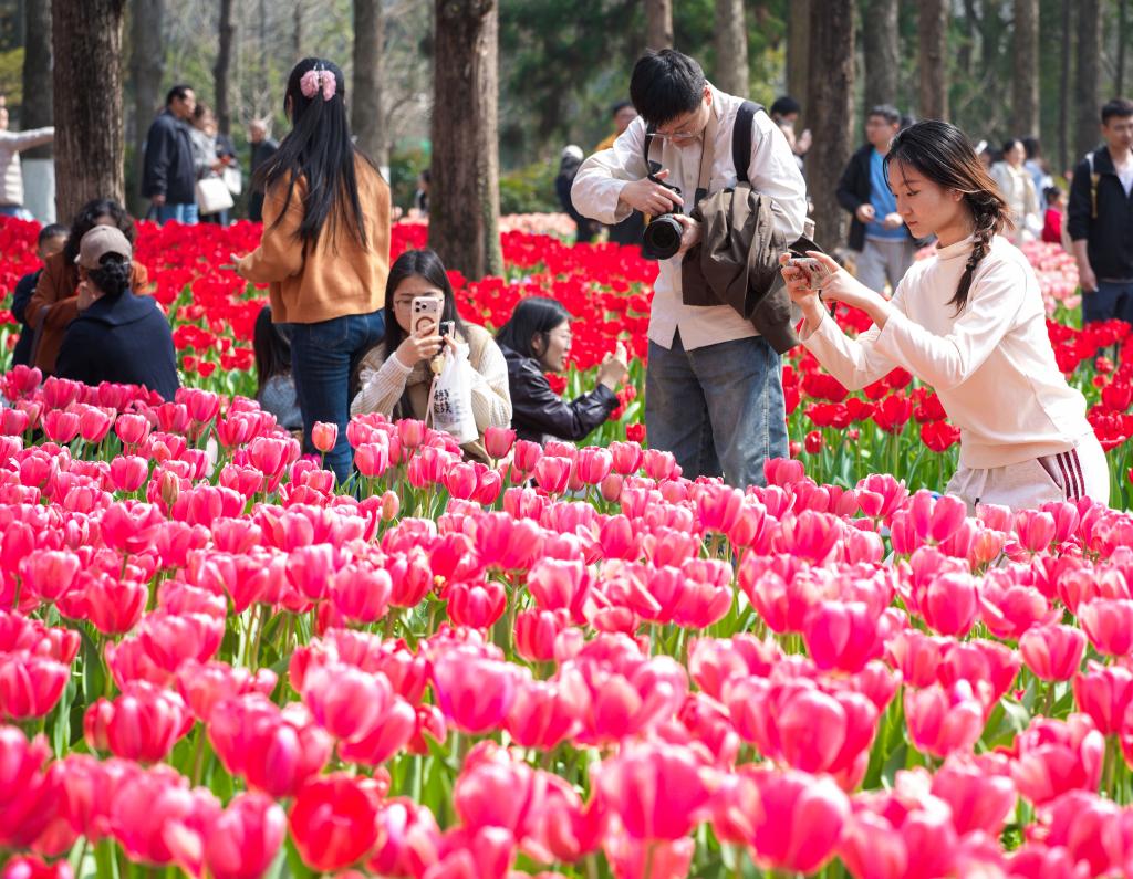 马力全开！春日...
