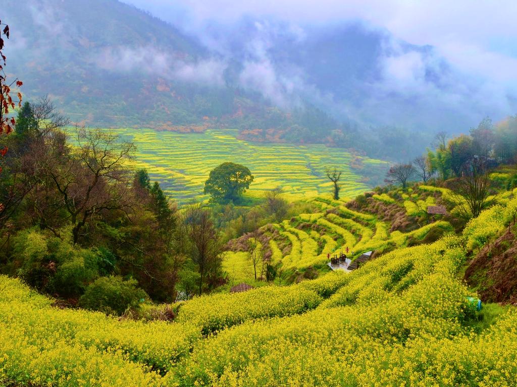 这份原生态，守...