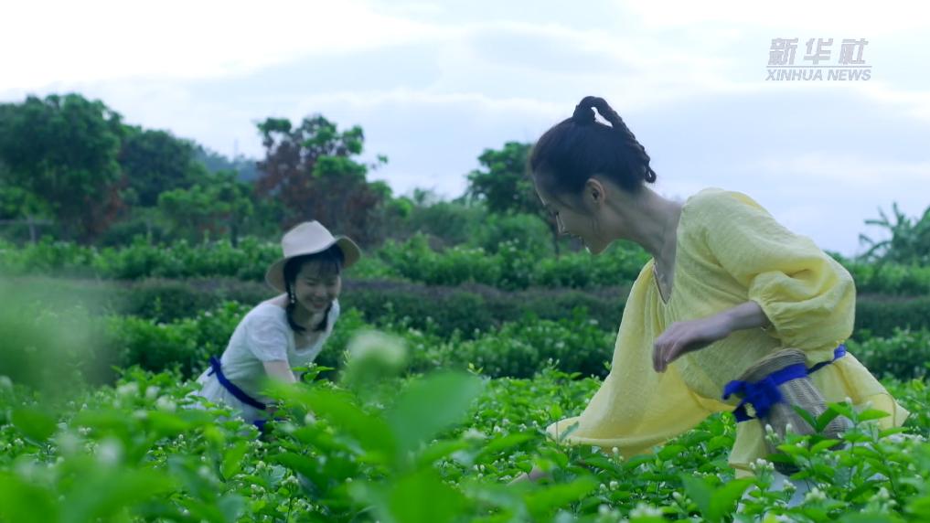 “闽茶”出海，...