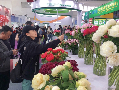 花开中国　香飘...